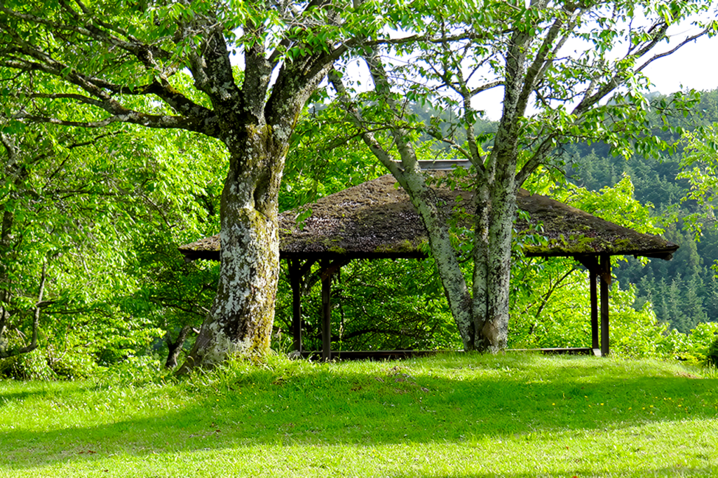 夏の庭園