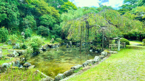 群芳園夏の庭園